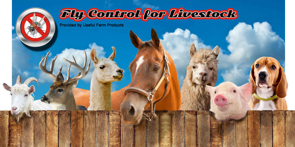 Fly Parasites Provided by Useful Farm Products